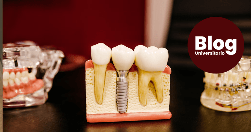 Imagen de portada de Especialidades en Odontología