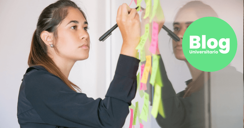 Imagen de portada de Las habilidades blandas y por qué es necesario desarrollarlas