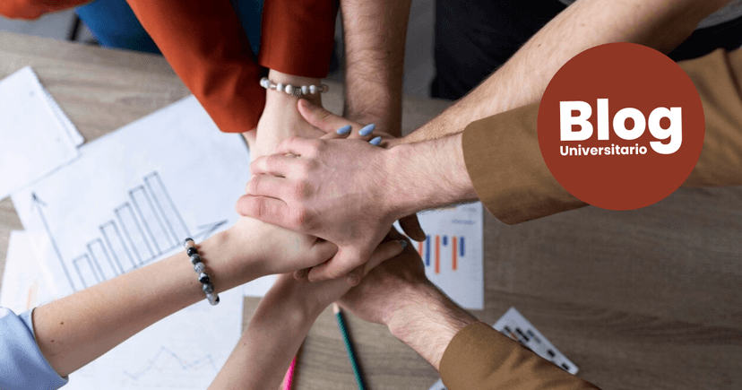 Imagen de portada de Trabajo en equipo: ¿Cómo sacarle provecho?