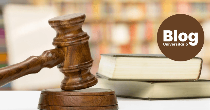 Imagen de portada de ¿Querés estudiar Derecho? Aquí todo lo que necesitás saber