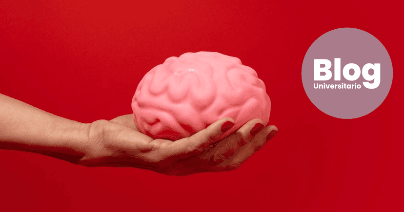 Imagen de portada de Importancia de ejercitar el cerebro