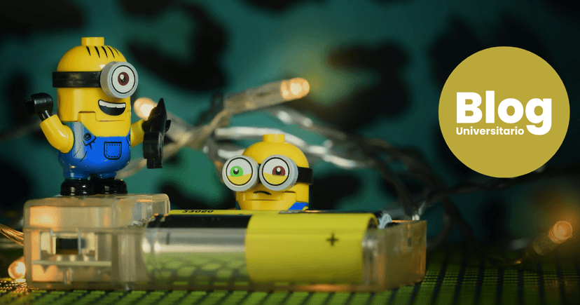 Imagen de portada de ¿Cómo ingresar al Mercado Laboral?