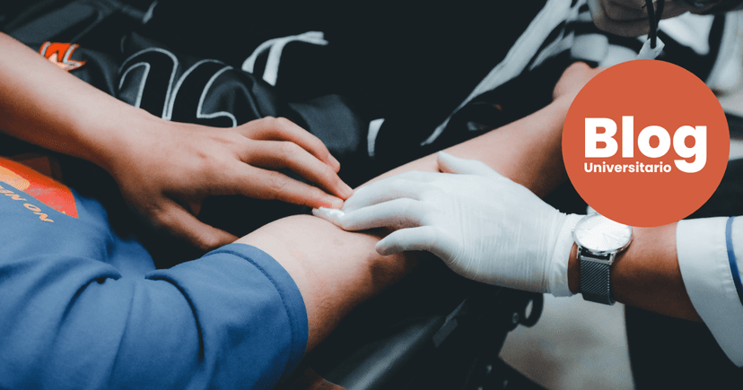 Imagen de portada de ¿En qué se diferencia Medicina, Enfermería y Farmacia?