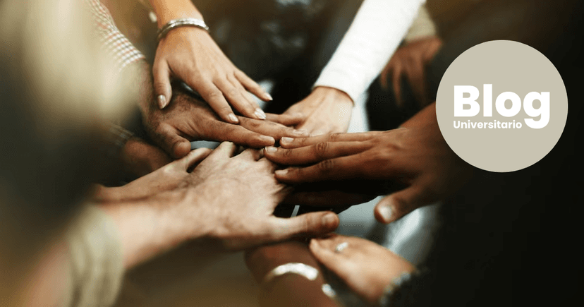 Imagen de portada de Cómo aprender a trabajar en equipo