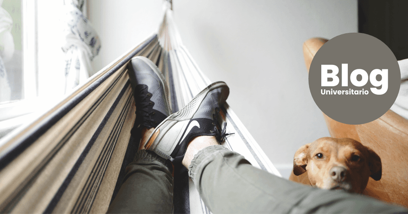 Imagen de portada de ¡Decile bye al estrés!