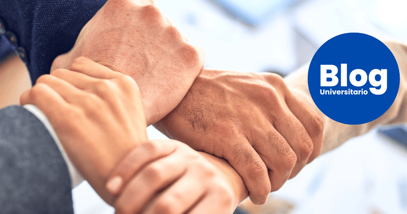 Imagen de portada de ¿Por qué el liderazgo importa?