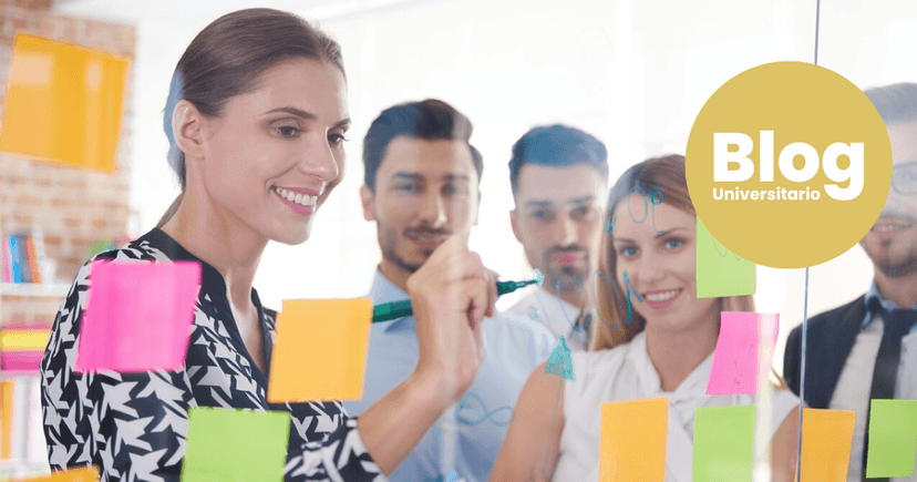 Imagen de portada de ¿A dónde puedo trabajar si mi carrera es Administración de Empresas?