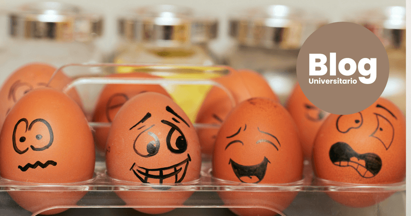 Imagen de portada de Psicología va mucho más allá que dar terapia