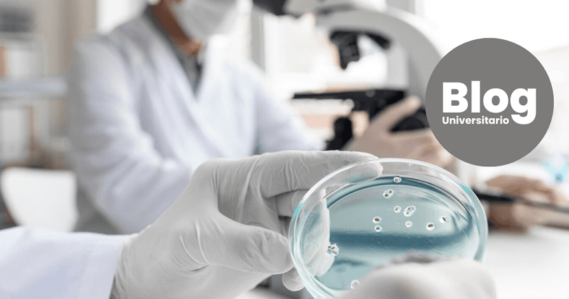 Imagen de portada de ¿Por qué estudiar Laboratorio Clínico?