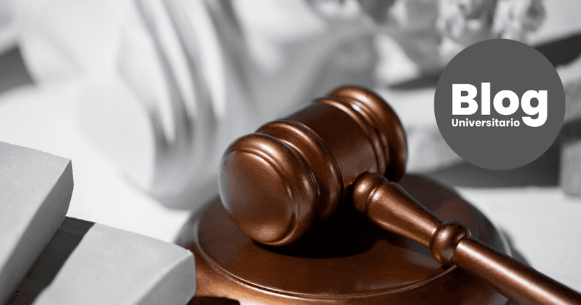 Imagen de portada de Lo que necesitás saber si querés estudiar Derecho