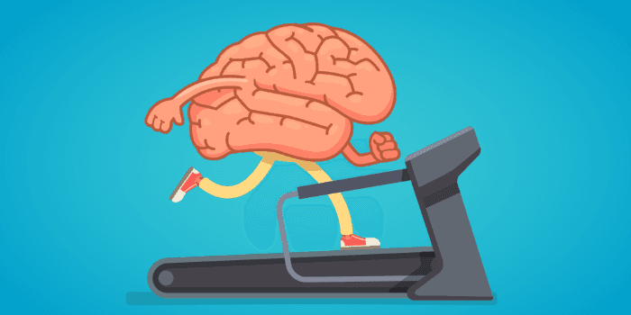 Imagen de portada de Importancia de ejercitar el cerebro