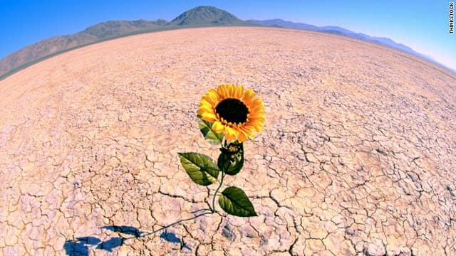 Imagen de portada de ¿Qué es la resiliencia y cómo te puede llevar al éxito profesional?