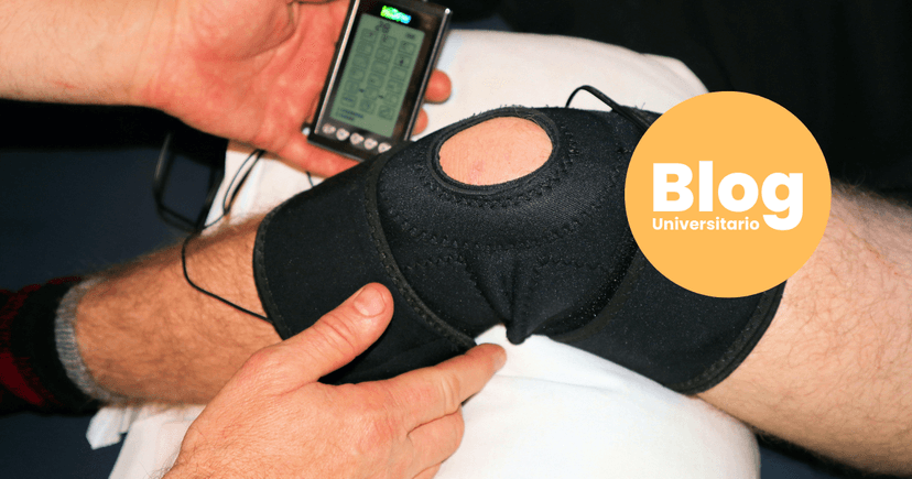 Imagen de portada de ¿Qué carrera debo estudiar si me gusta el deporte?