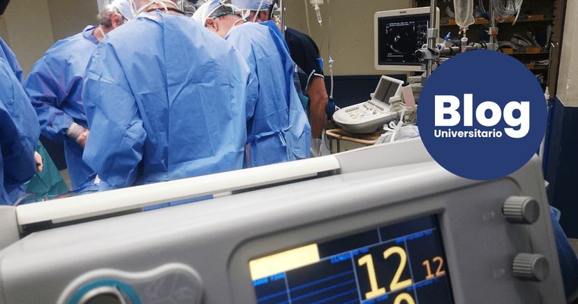 Imagen de portada de Lo que deberías saber antes de estudiar Enfermería