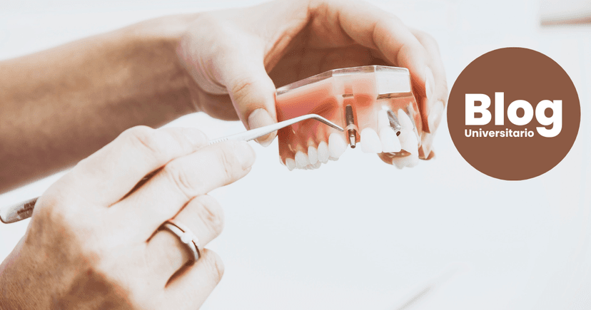 Imagen de portada de ¿Y si estudiás OdontologÍa?