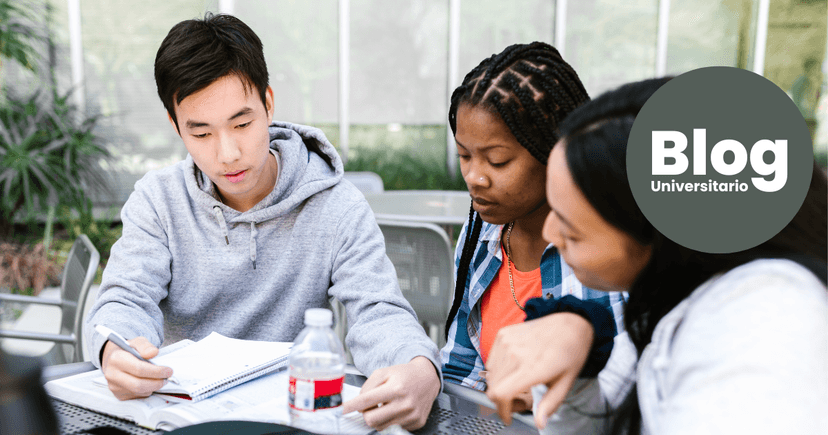 Imagen de portada de Aumentá tus posibilidades de contratación con carreras de alta demanda laboral