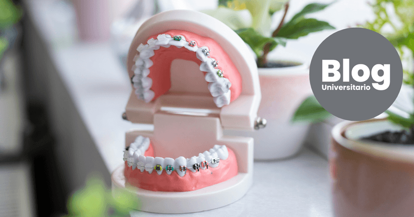 Imagen de portada de Profundizá más allá de la Odontología