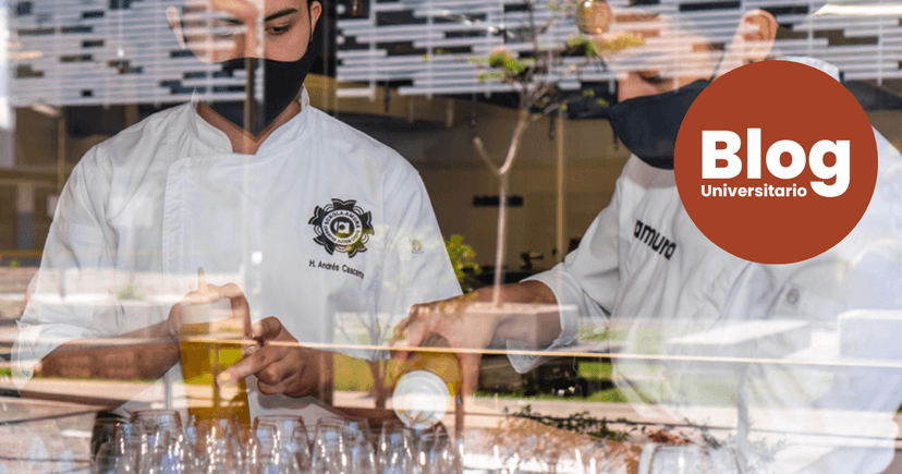 Imagen de portada de Se acerca la gran final de la segunda edición del mejor concurso gastronómico de Costa Rica: ¡Star Chefs!