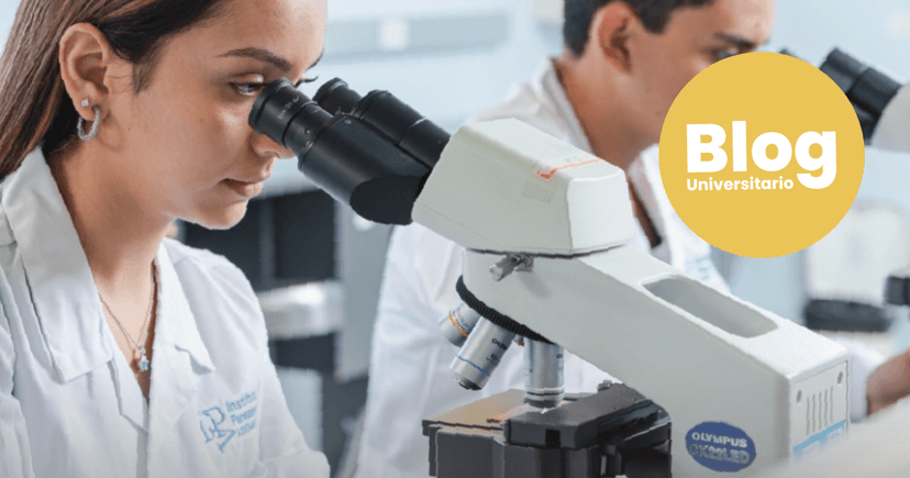 Imagen de portada de ¿Por qué estudiar un técnico o diplomado en Ciencias de la Vida?