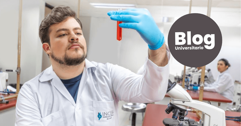 Imagen de portada de Razones para que tomés la decisión de estudiar una carrera técnica o un diplomado en salud