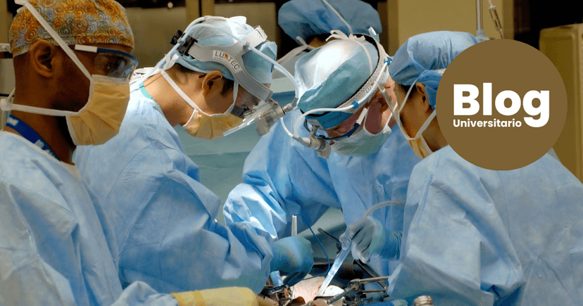 Imagen de portada de Todo lo que necesitás saber sobre Medicina