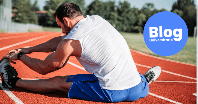 Imagen de portada de La Educación Física como carrera universitaria