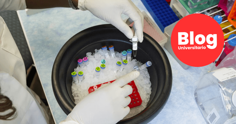 Imagen de portada de La Biotecnología: carrera del futuro en el presente