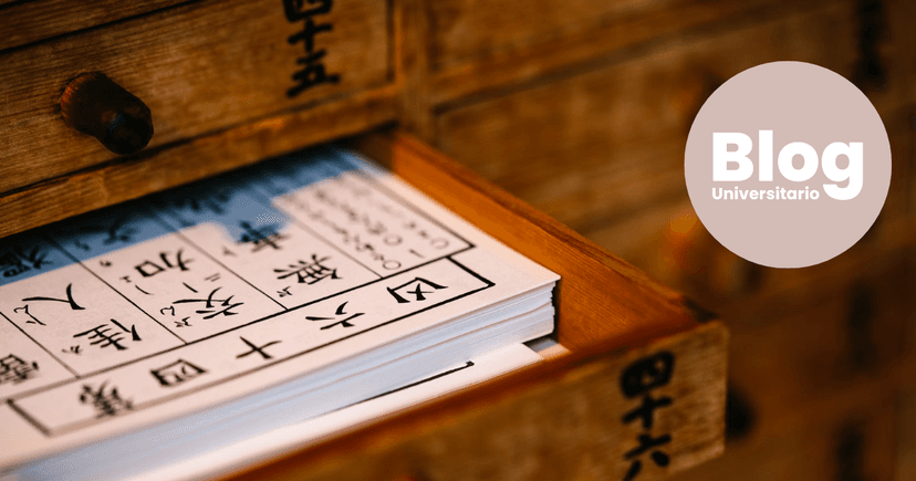 Imagen de portada de Idiomas con más demanda laboral en Costa Rica