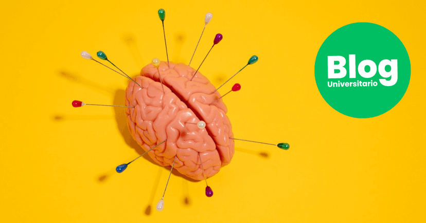 Imagen de portada de ¿Qué es la fuga de cerebros?